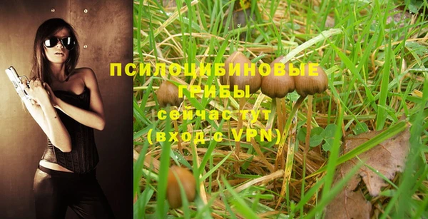 спиды Абинск