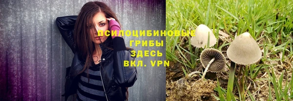 СК Алзамай