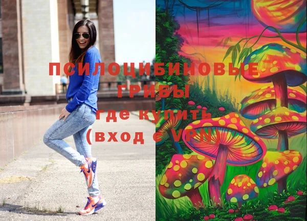 винт Алексеевка